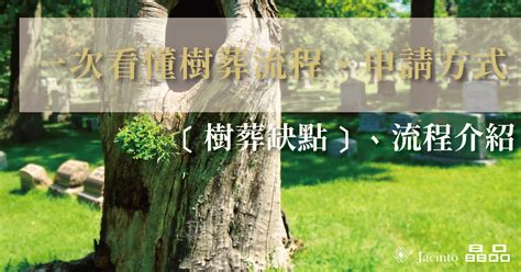 樹葬可以在自己家嗎|樹葬介紹：費用、流程、申請方式及樹葬與植存的優缺點解析